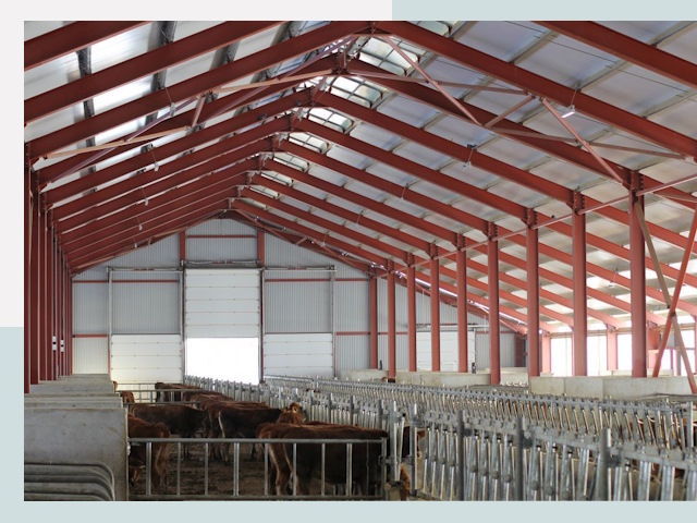 Строительство коровников в Шахтах