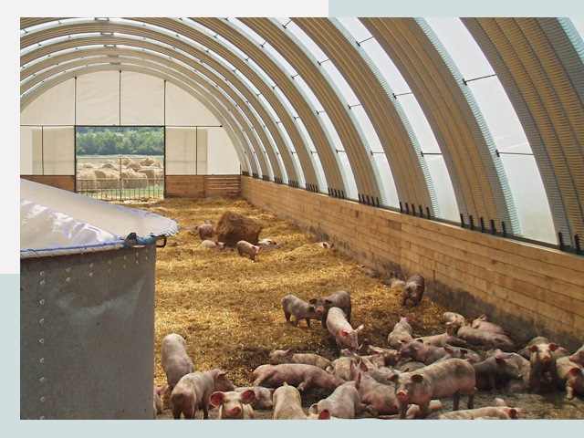 Строительство свинарников в Шахтах