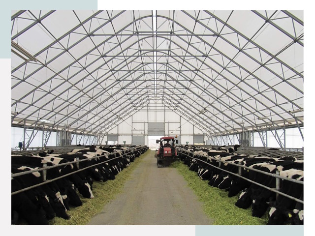 Тентовые коровники в Шахтах от 651 руб. - Надежно и доступно