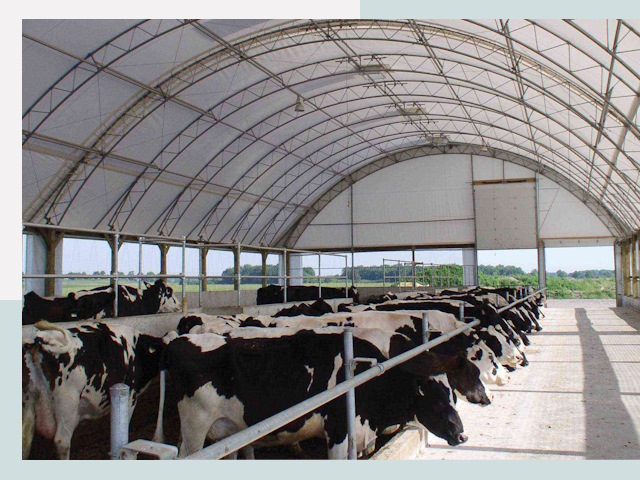 Тентовые коровники в Шахтах